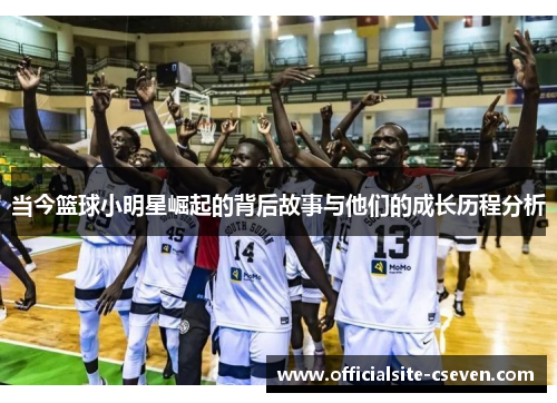 当今篮球小明星崛起的背后故事与他们的成长历程分析