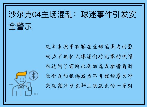 沙尔克04主场混乱：球迷事件引发安全警示